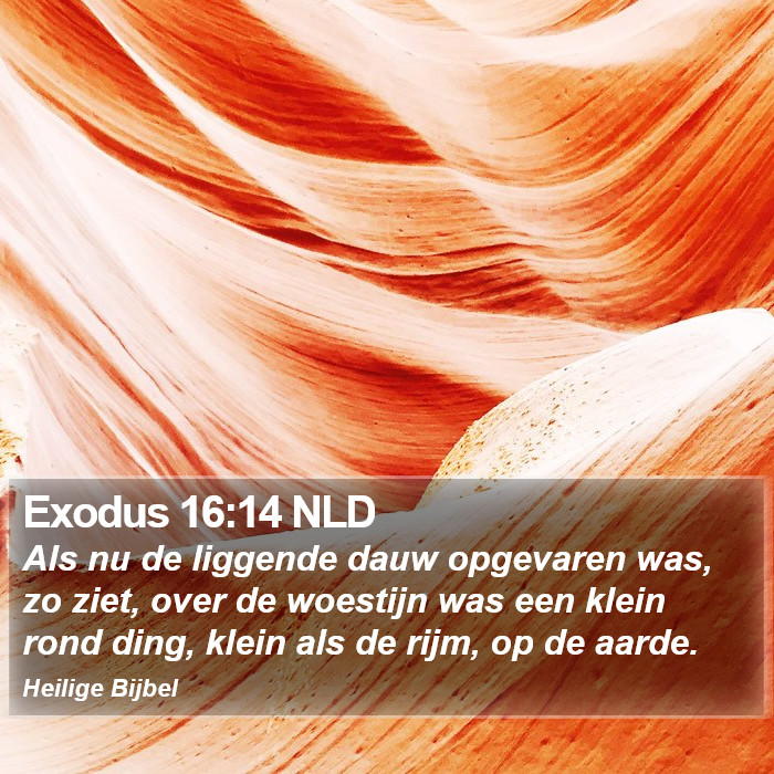 Exodus 16:14 NLD Bible Study