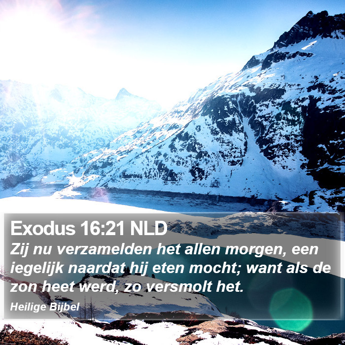 Exodus 16:21 NLD Bible Study