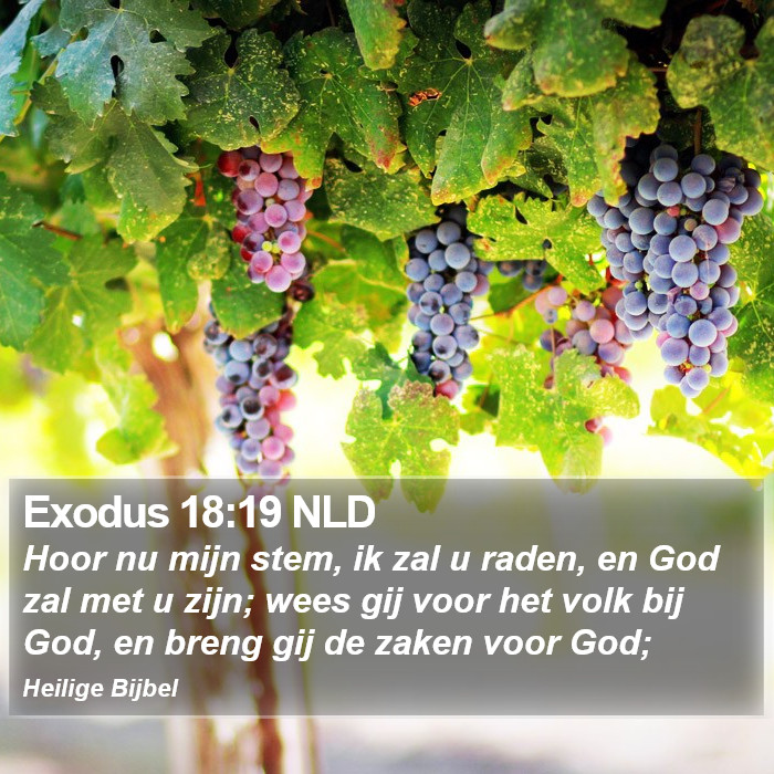 Exodus 18:19 NLD Bible Study