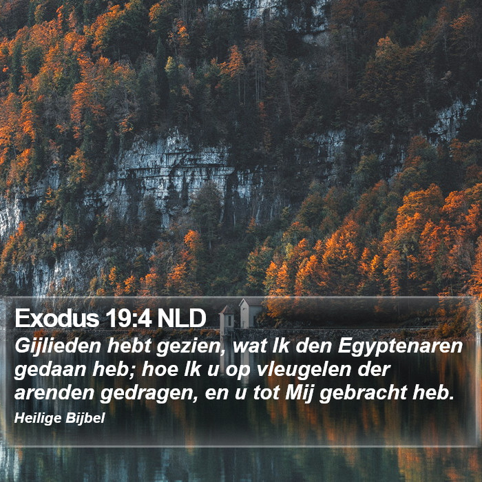 Exodus 19:4 NLD Bible Study