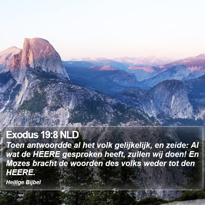 Exodus 19:8 NLD Bible Study