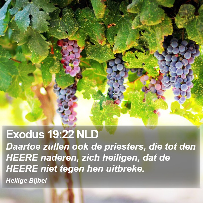 Exodus 19:22 NLD Bible Study