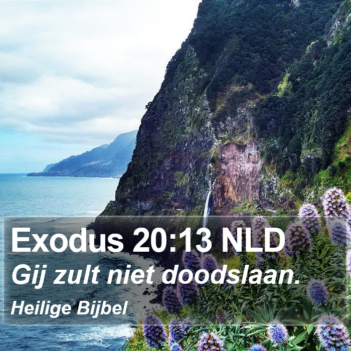 Exodus 20:13 NLD Bible Study