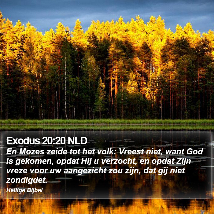 Exodus 20:20 NLD Bible Study