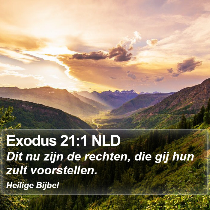 Exodus 21:1 NLD Bible Study