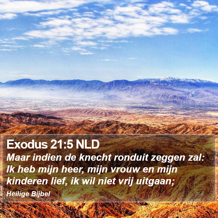 Exodus 21:5 NLD Bible Study