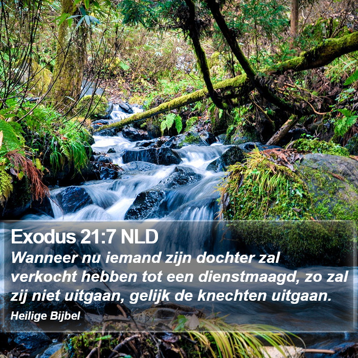 Exodus 21:7 NLD Bible Study