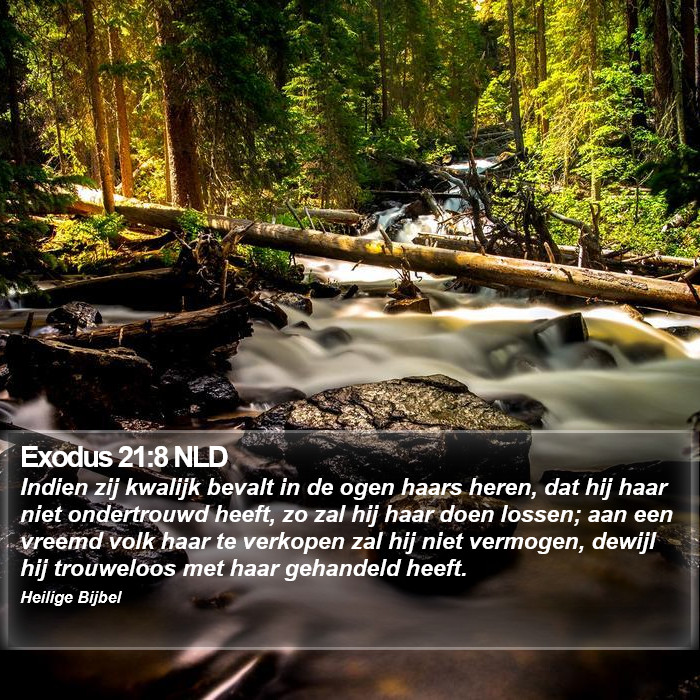 Exodus 21:8 NLD Bible Study