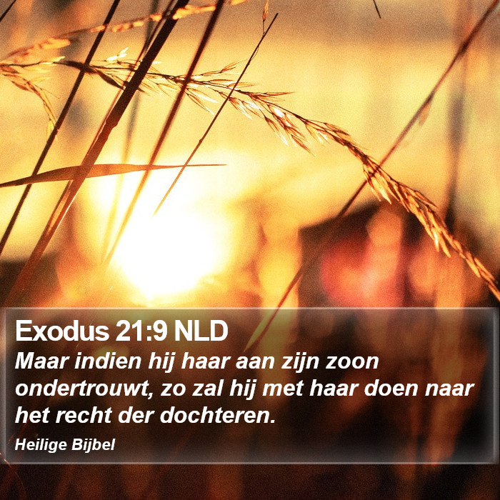 Exodus 21:9 NLD Bible Study