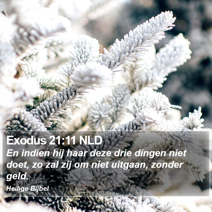 Exodus 21:11 NLD Bible Study