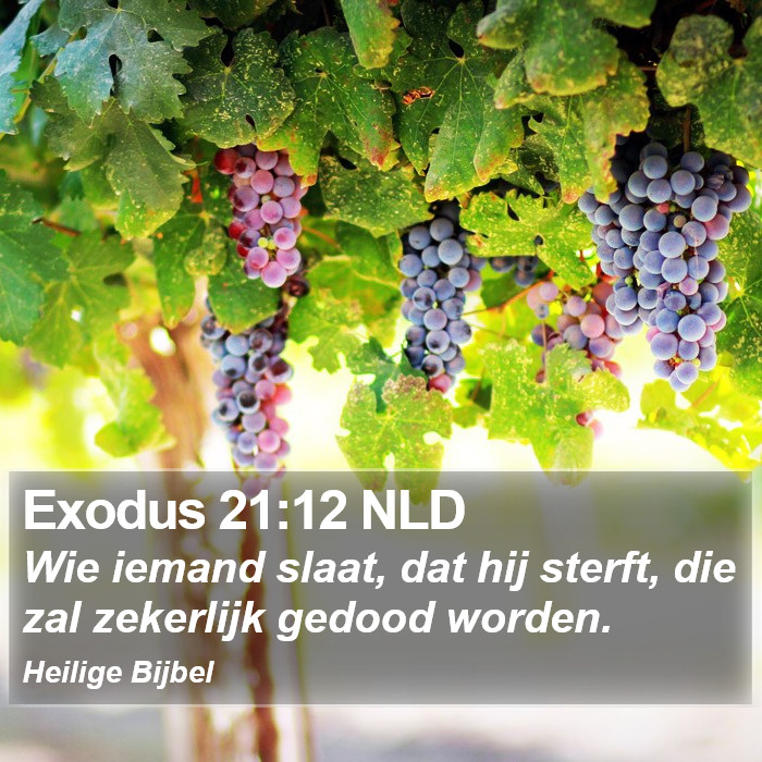 Exodus 21:12 NLD Bible Study