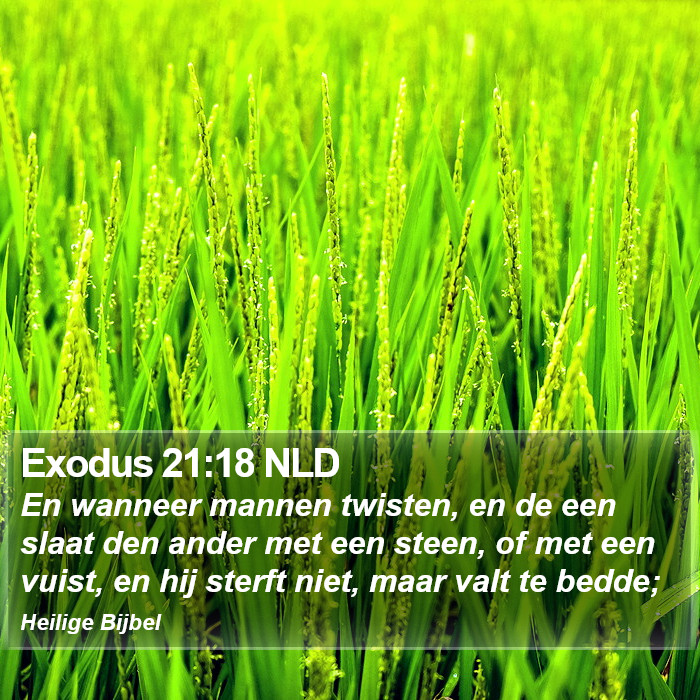 Exodus 21:18 NLD Bible Study