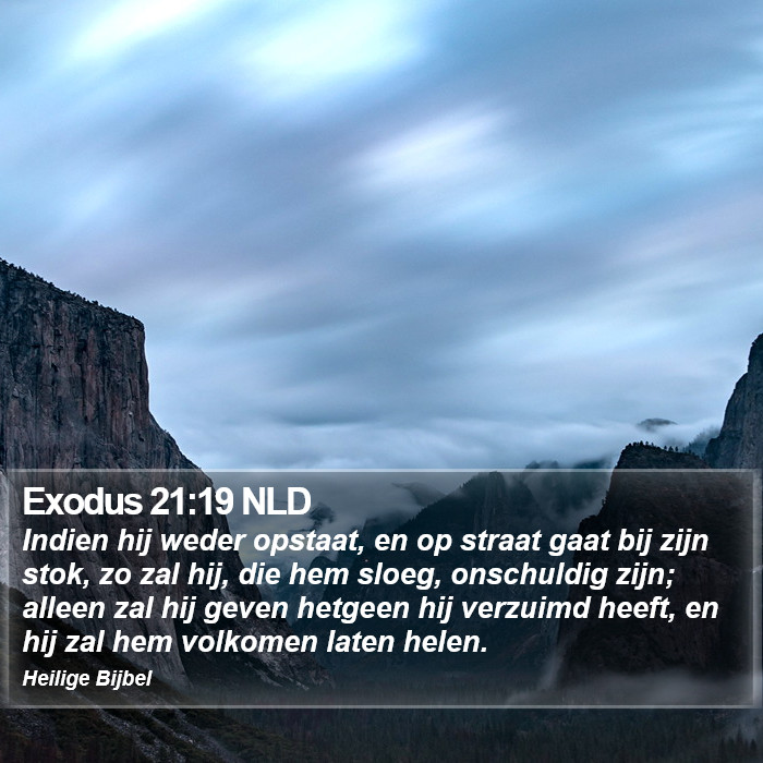 Exodus 21:19 NLD Bible Study