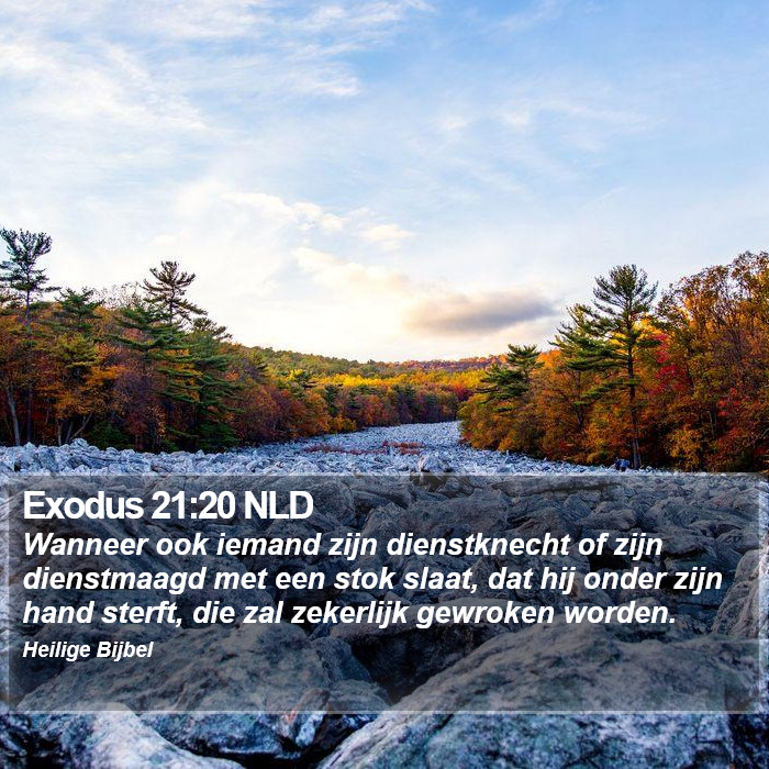 Exodus 21:20 NLD Bible Study