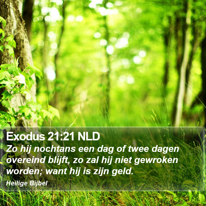 Exodus 21:21 NLD Bible Study