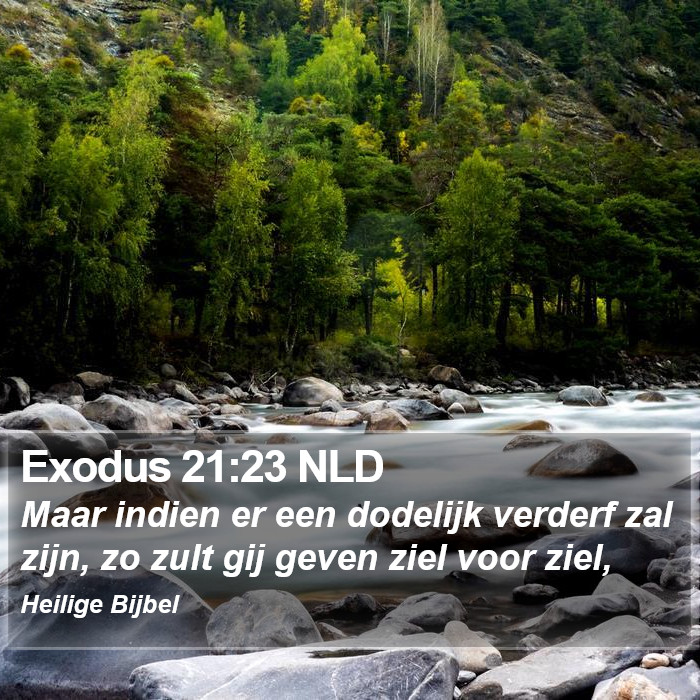 Exodus 21:23 NLD Bible Study