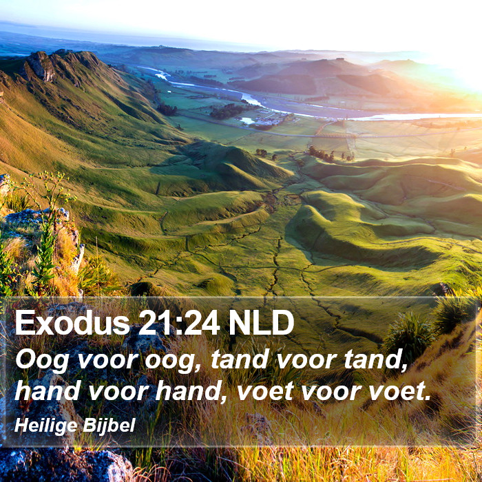 Exodus 21:24 NLD Bible Study