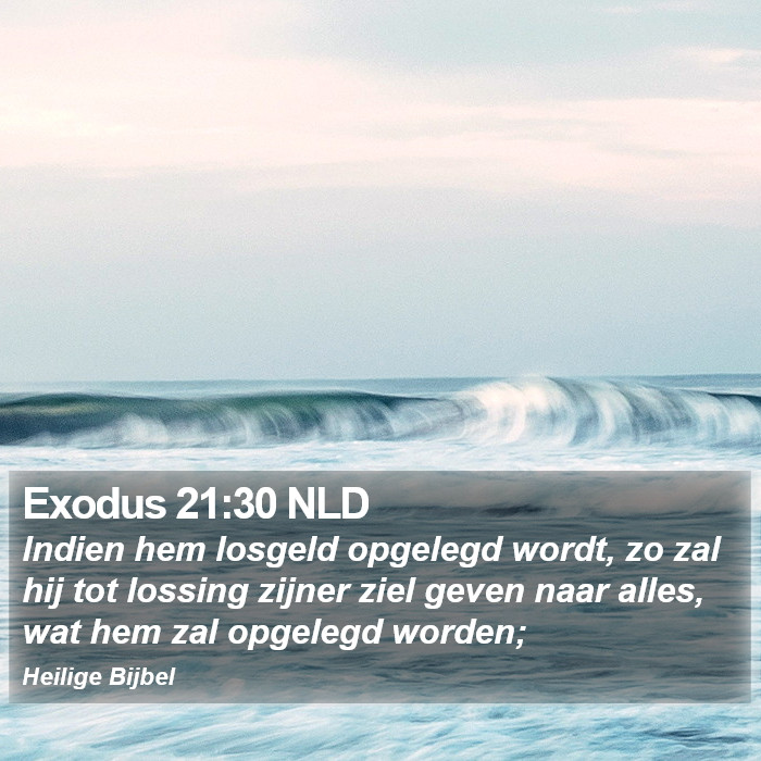 Exodus 21:30 NLD Bible Study