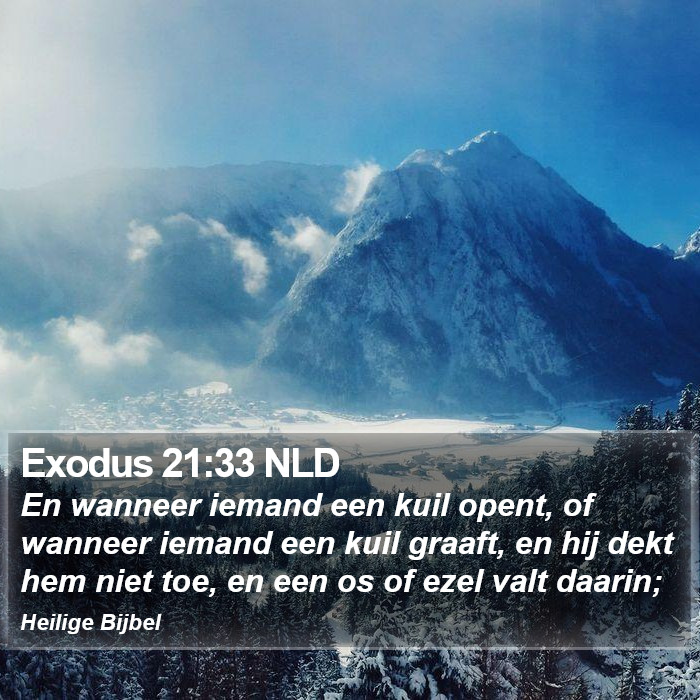 Exodus 21:33 NLD Bible Study