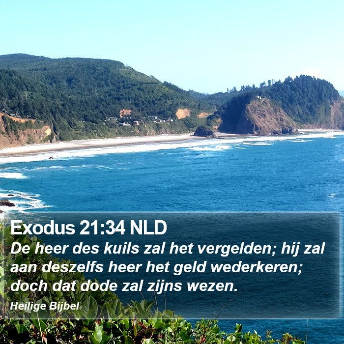 Exodus 21:34 NLD Bible Study