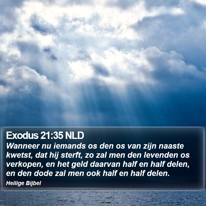 Exodus 21:35 NLD Bible Study