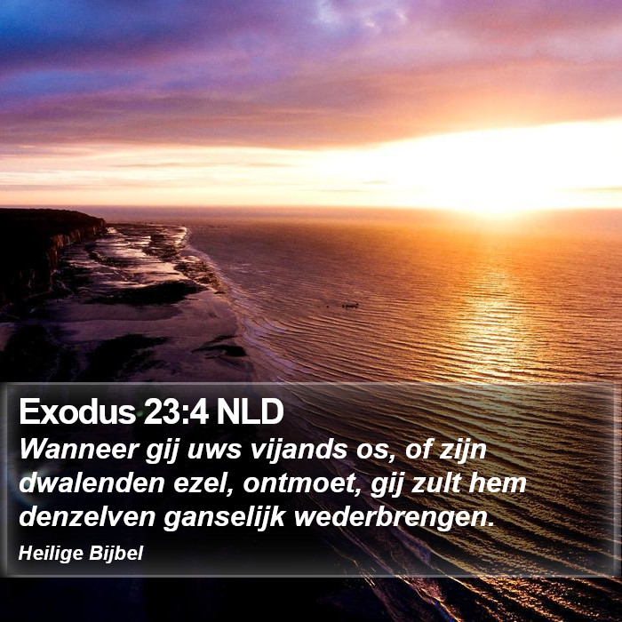 Exodus 23:4 NLD Bible Study