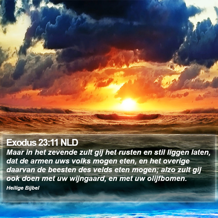 Exodus 23:11 NLD Bible Study