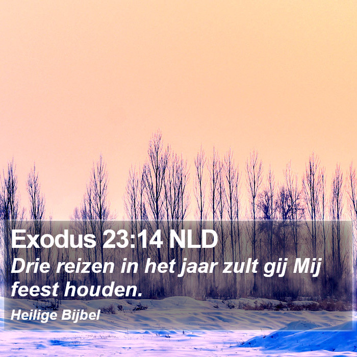 Exodus 23:14 NLD Bible Study