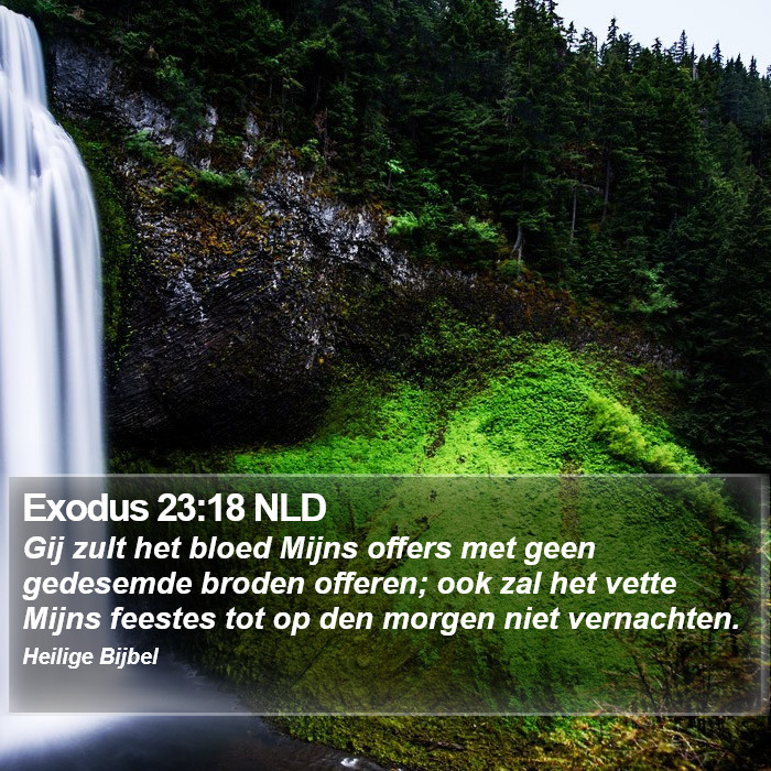 Exodus 23:18 NLD Bible Study