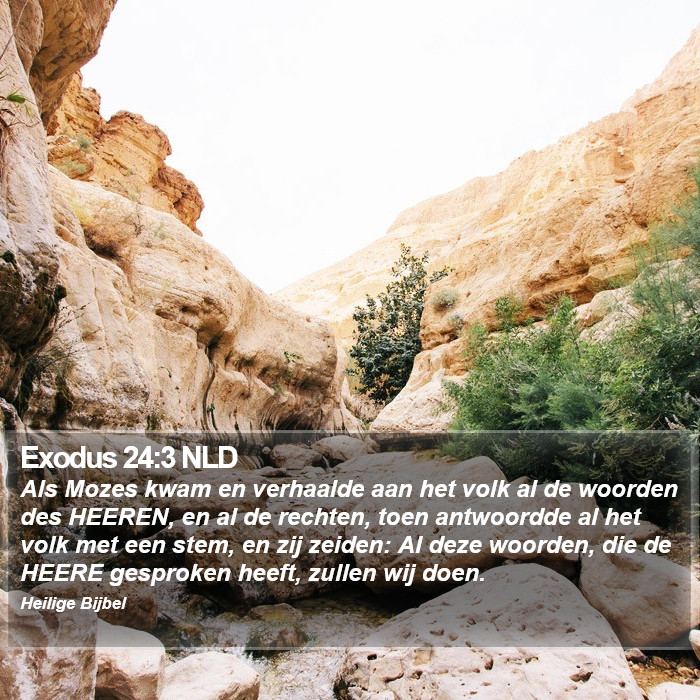 Exodus 24:3 NLD Bible Study