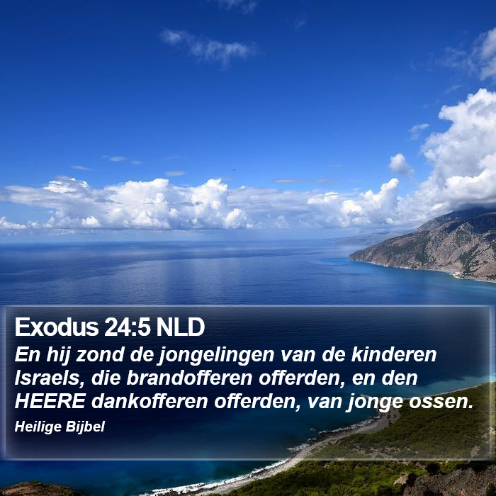 Exodus 24:5 NLD Bible Study