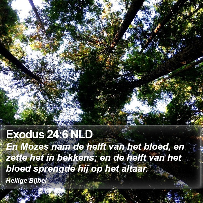 Exodus 24:6 NLD Bible Study