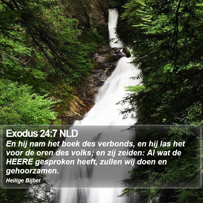 Exodus 24:7 NLD Bible Study