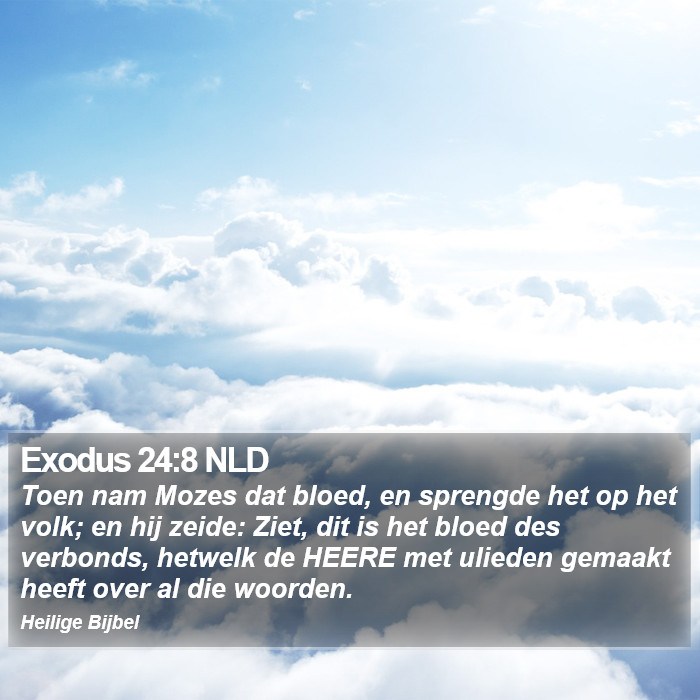 Exodus 24:8 NLD Bible Study