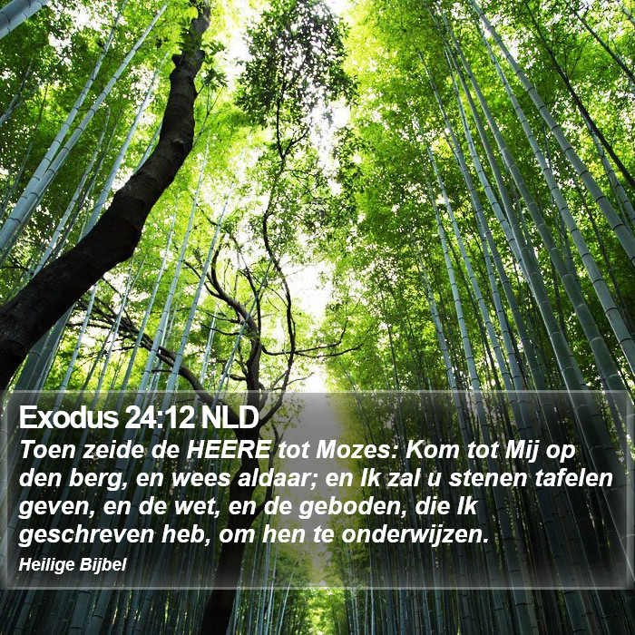 Exodus 24:12 NLD Bible Study