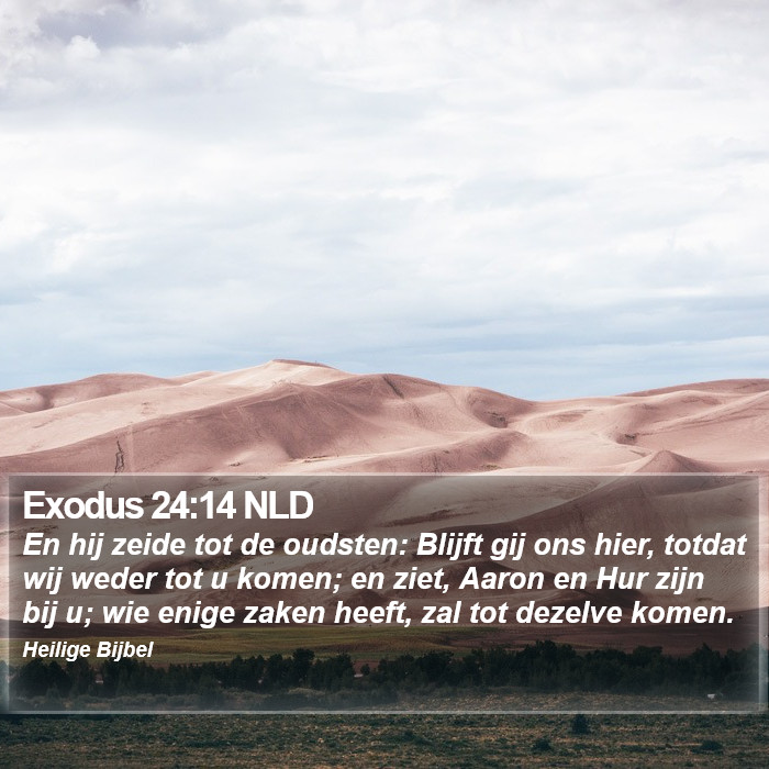 Exodus 24:14 NLD Bible Study