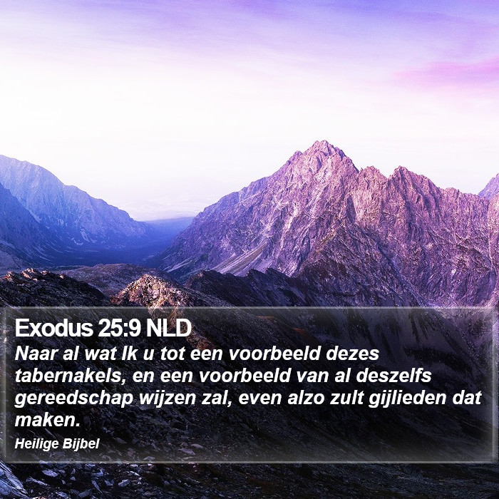 Exodus 25:9 NLD Bible Study