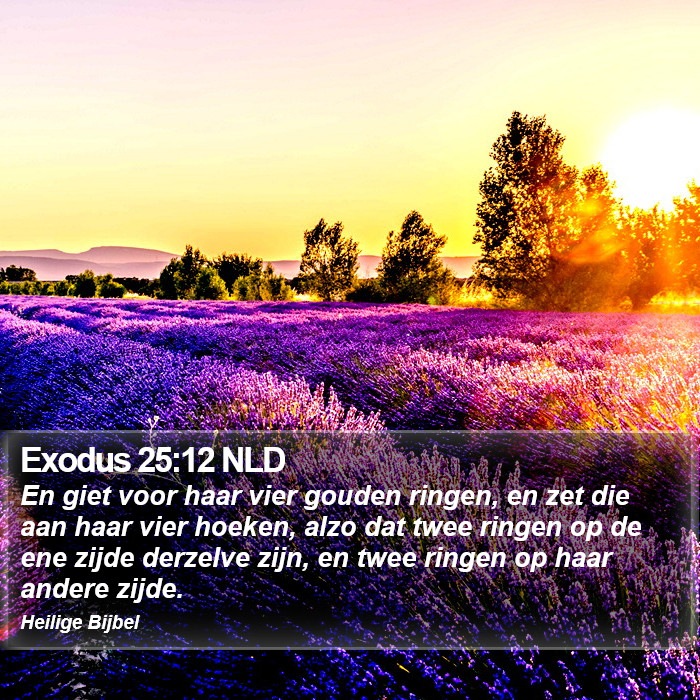 Exodus 25:12 NLD Bible Study