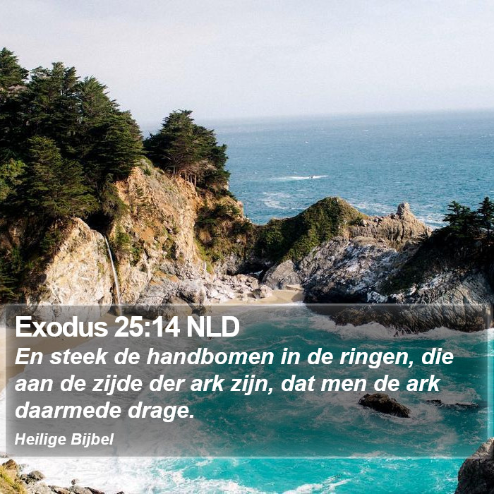 Exodus 25:14 NLD Bible Study
