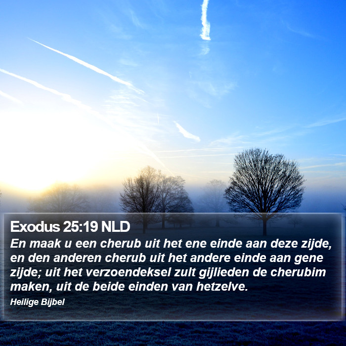 Exodus 25:19 NLD Bible Study