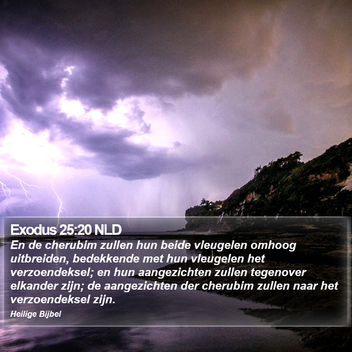 Exodus 25:20 NLD Bible Study