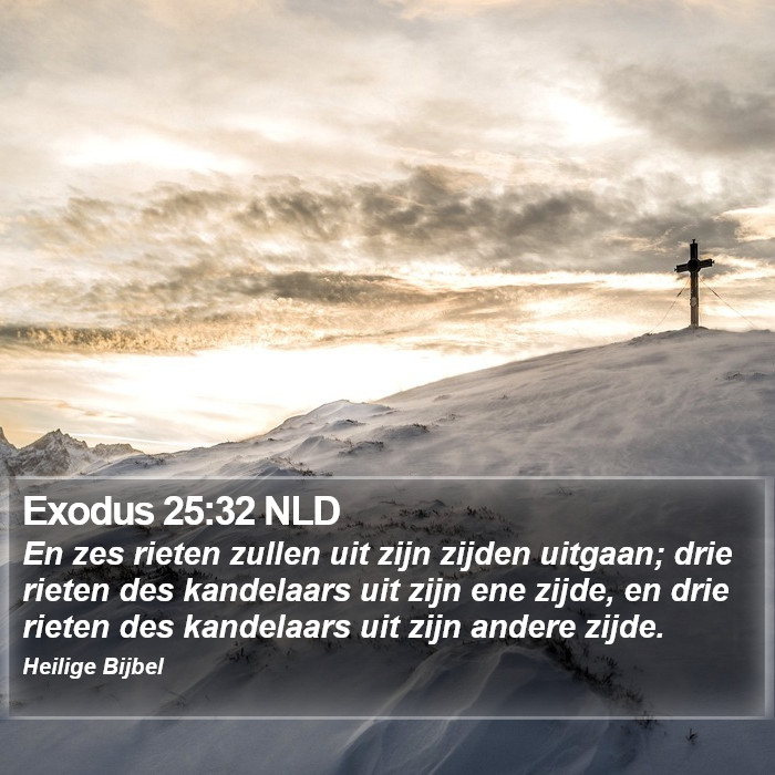Exodus 25:32 NLD Bible Study