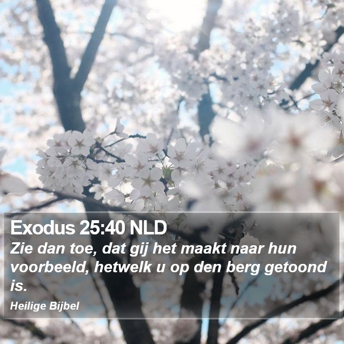 Exodus 25:40 NLD Bible Study