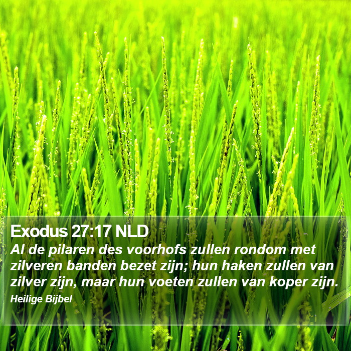 Exodus 27:17 NLD Bible Study