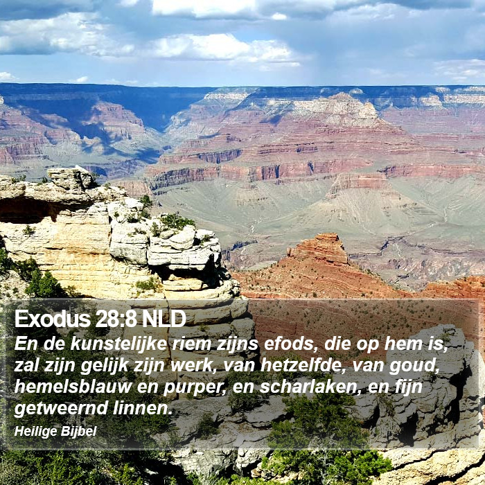 Exodus 28:8 NLD Bible Study