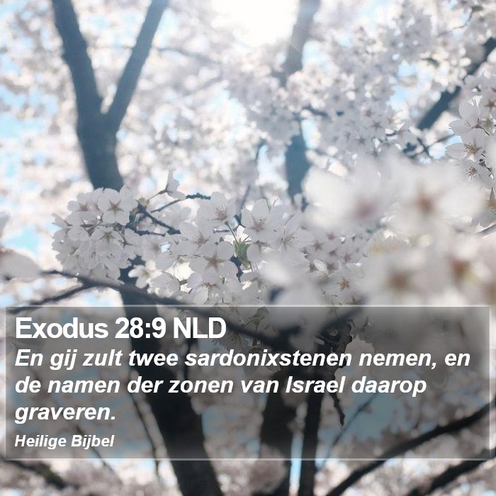 Exodus 28:9 NLD Bible Study