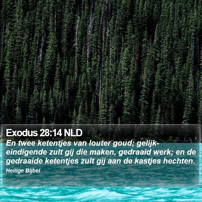 Exodus 28:14 NLD Bible Study