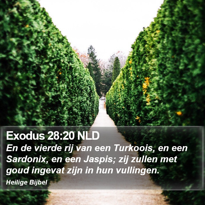 Exodus 28:20 NLD Bible Study