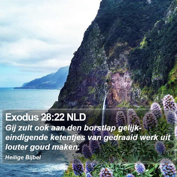 Exodus 28:22 NLD Bible Study