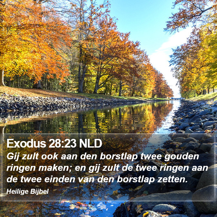 Exodus 28:23 NLD Bible Study